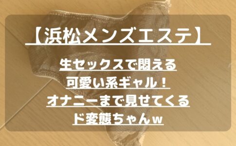 アパホテル〈静岡駅北〉（静岡市）：（最新料金：2025年）