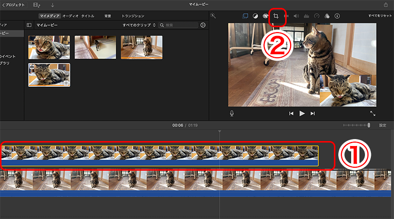 iPhone 「ピクチャ・イン・ピクチャ」機能の使い方パソコン工房 NEXMAG