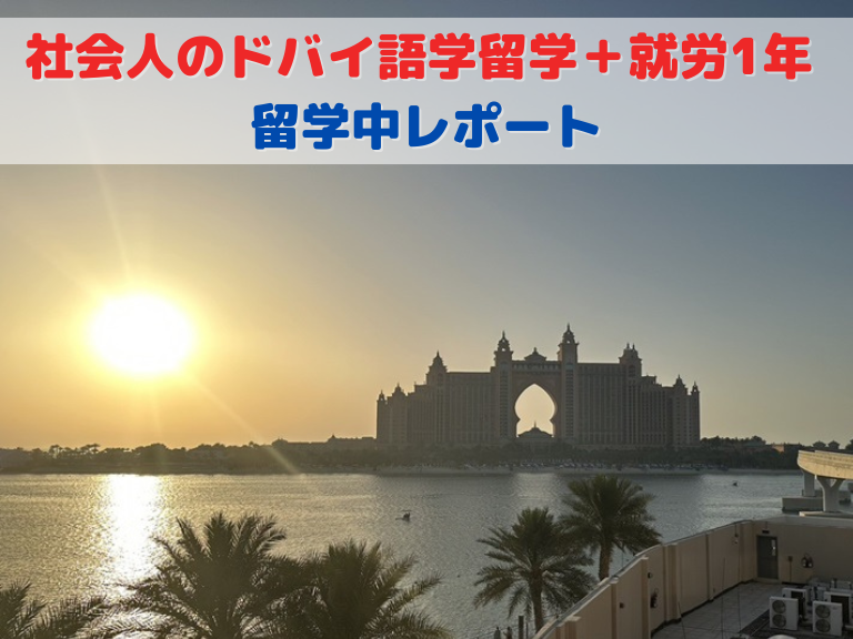祝！ドバイのバーチャルワーキングビザを取得しました！ドバイ家族移住計画