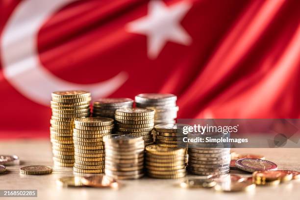 旧紙幣 トルコ 250000リラ