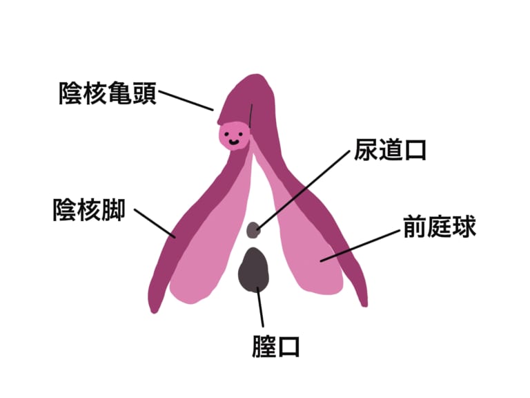 手だけで彼を気持ちよくさせる25のアドバイス