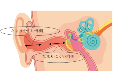 振動と吸引で驚くほど耳垢が取れるという「ドンキのイヤークリーナー」を使ってみた結果 うわぁ!!（2024年4月12日）｜BIGLOBEニュース