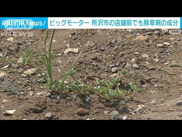 ビッグモーター」所沢店前の土壌から除草剤成分検出 市販除草剤の