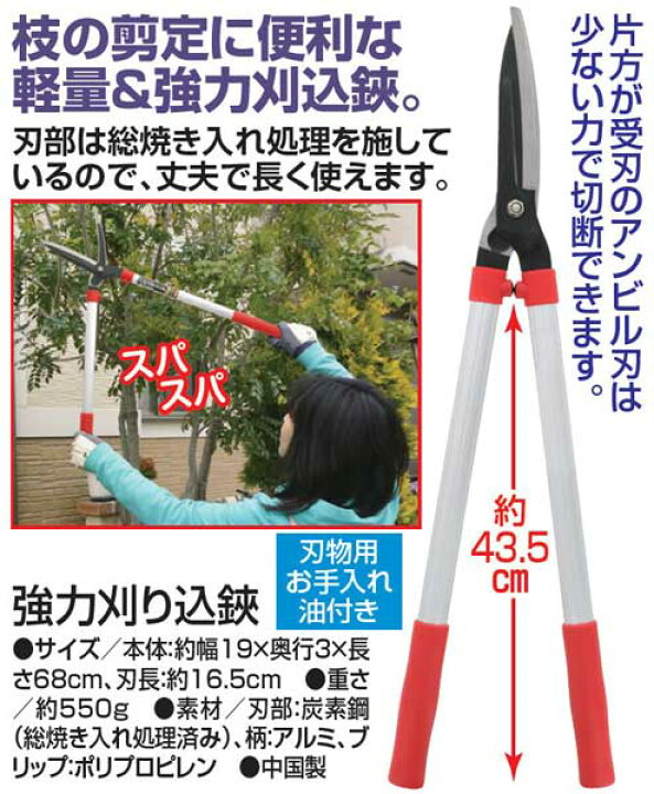 道具の手入れrider alloy duck の ブログ