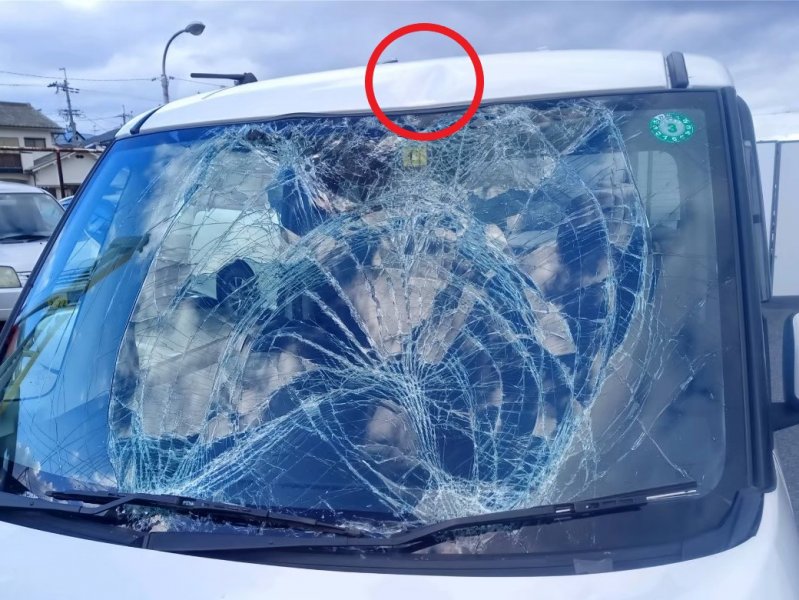 飛び石被害を受けたら？責任の所在や修理、保険利用について解説三井住友海上