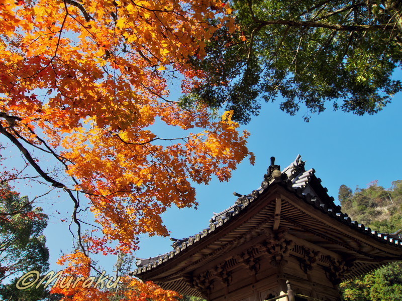 佛通寺広島 おすすめの人気観光・お出かけスポット - Yahoo!トラベル