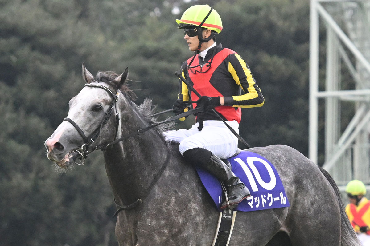 キャラクターデザイン – Oonukitatsuya's Fantasy Worldおおぬきたつや の創作新世界