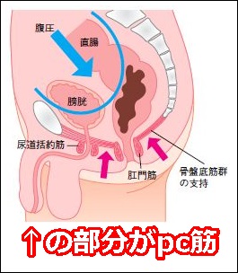 ドライオーガズム（メスイキ）体験談！実際に店でイッた体験とコツを晒す | Men's