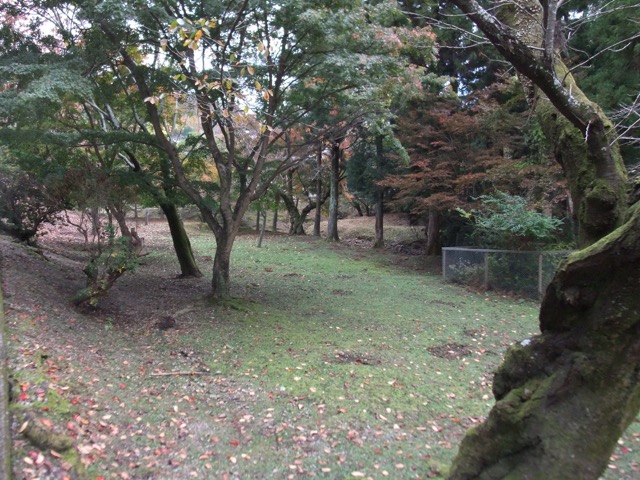 土日予約も！ 東大寺 大仏池のおすすめ駐車場予約 1日とめても安い！akippaアキッパ