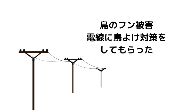 2025年最新 鳩対策電線に鳥よけは設置できる？設置時の手順と注意点、効果をご紹介 - トラブルブック