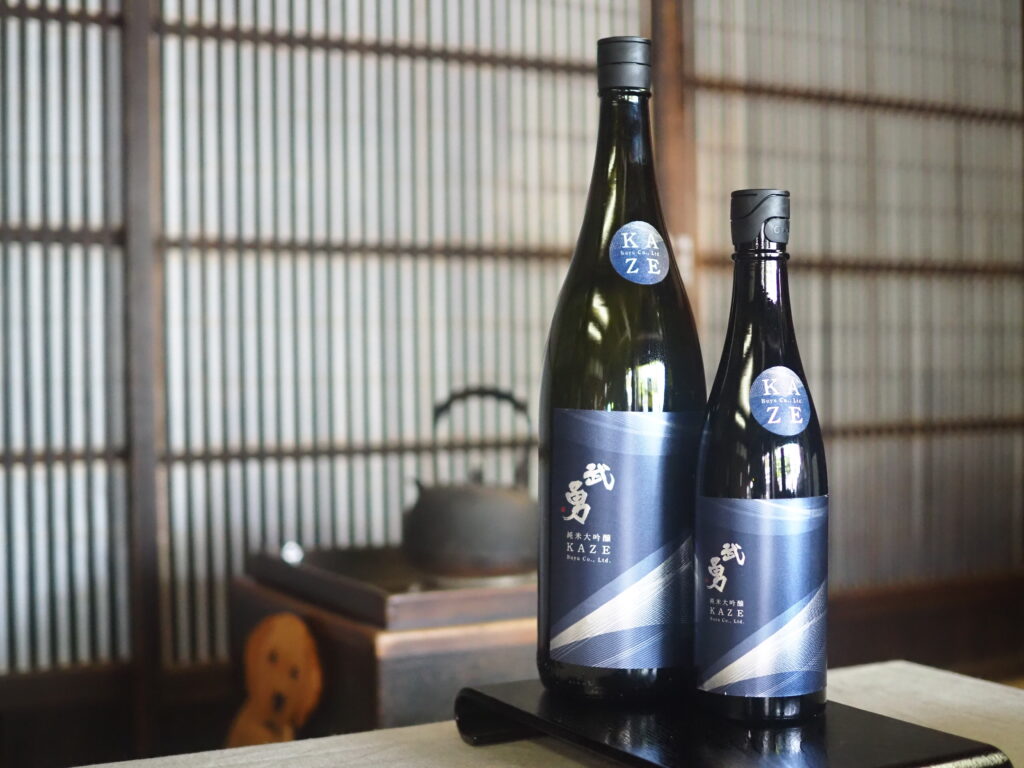 ボトルメールの歴史、宇宙探査機への応用