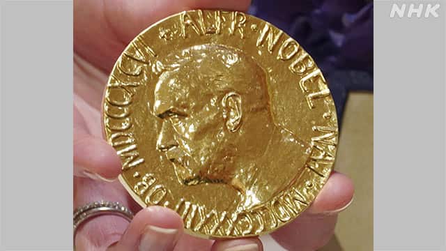 Amazonノーベル賞 お土産メダル 文学 希少 USA スウェーデンNobel Peace Prizesトロフィー・メダル
