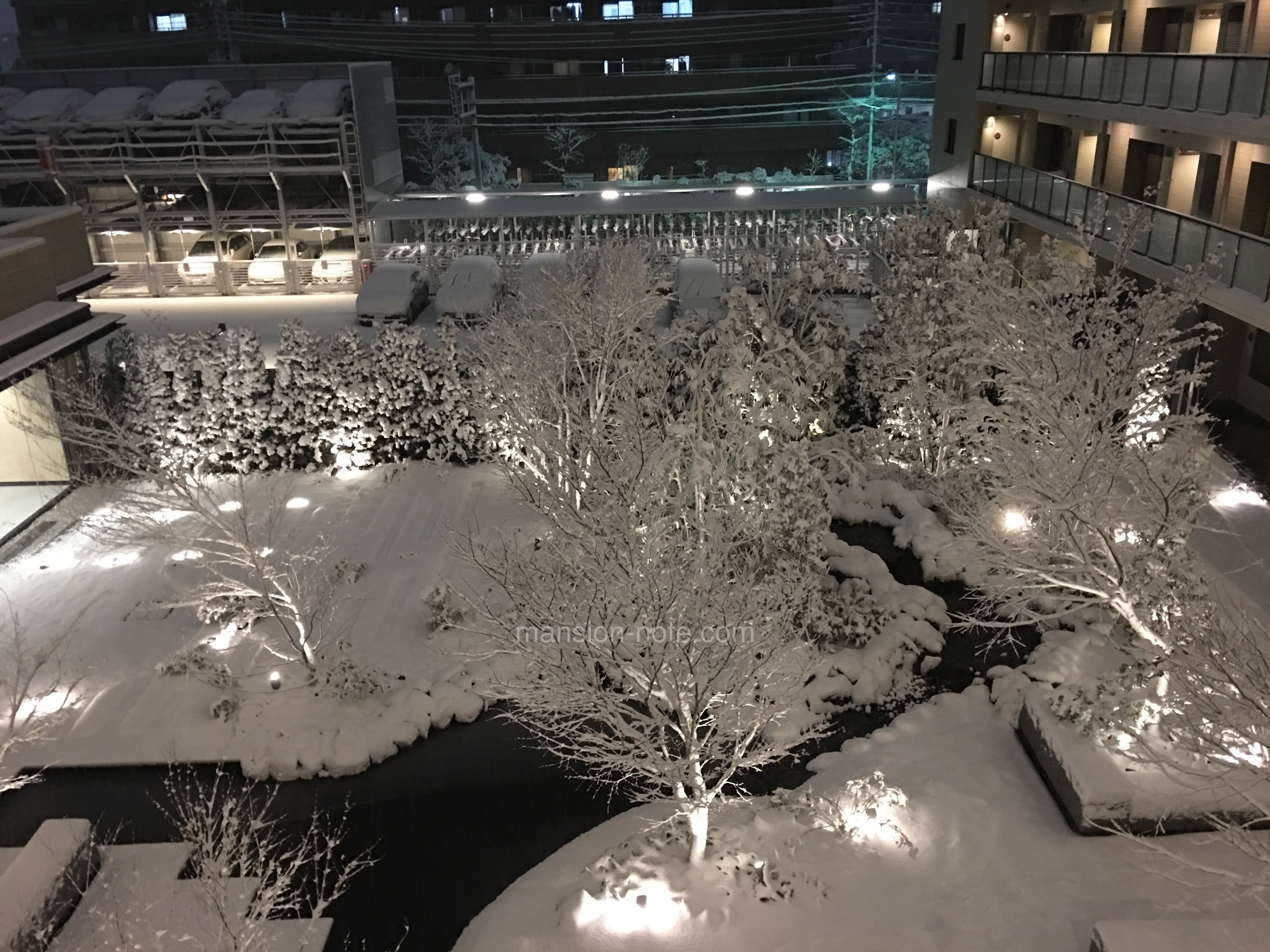 北綾瀬駅周辺の街並みを現地調査！再開発情報とおすすめのスポットを紹介
