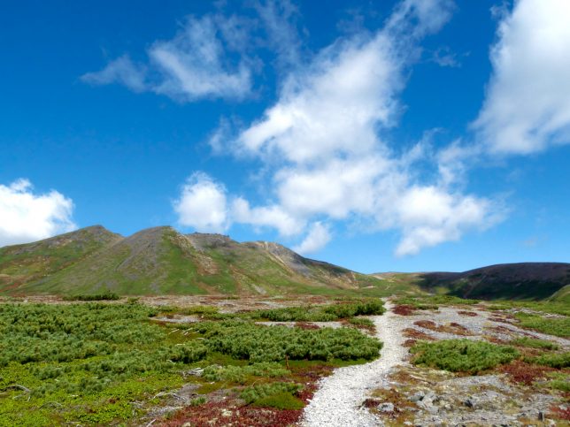 ホッとひと息入れて人生設計を練り直す糸魚川翡翠 ライトグリーン ・クィーンコンクシェル・ベイビーピンクオパールiichi日々の暮らしを心地よくするハンドメイドやアンティークのマーケットプレイス