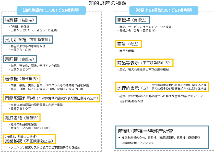 企業ロゴ・会社ロゴの役割とは？デザイナーに聞いた準備するべきポイント・作成プロセスを徹底解説！セブンデックス