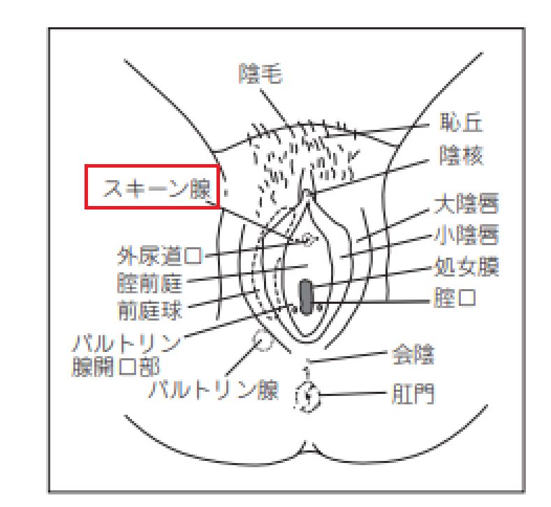 さくら ちゃん えろ :