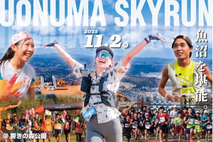 MURAOKA 67170 トラックタイヤチェーン 小型トラック・バス用 小型トラック用タイヤチェーン 67103 225