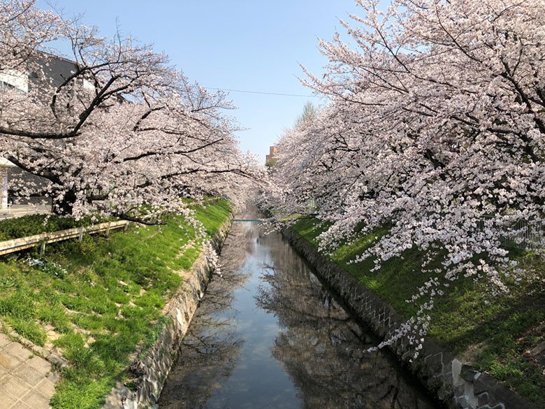 大須陵苑(愛知県名古屋市中区)の概要・価格・アクセス｜愛知の霊園.com｜【無料】資料請求