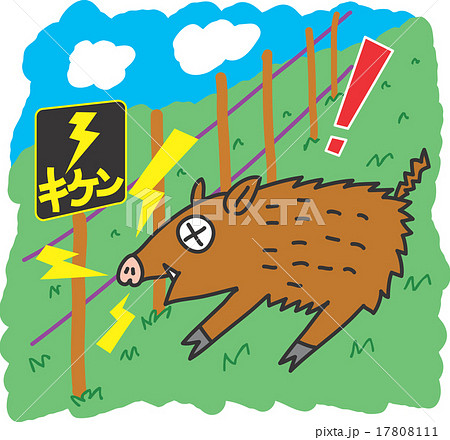 電気柵が張られた農地のイメージ - No: 24726652写真素材なら「写真AC」無料 フリー ダウンロードOK