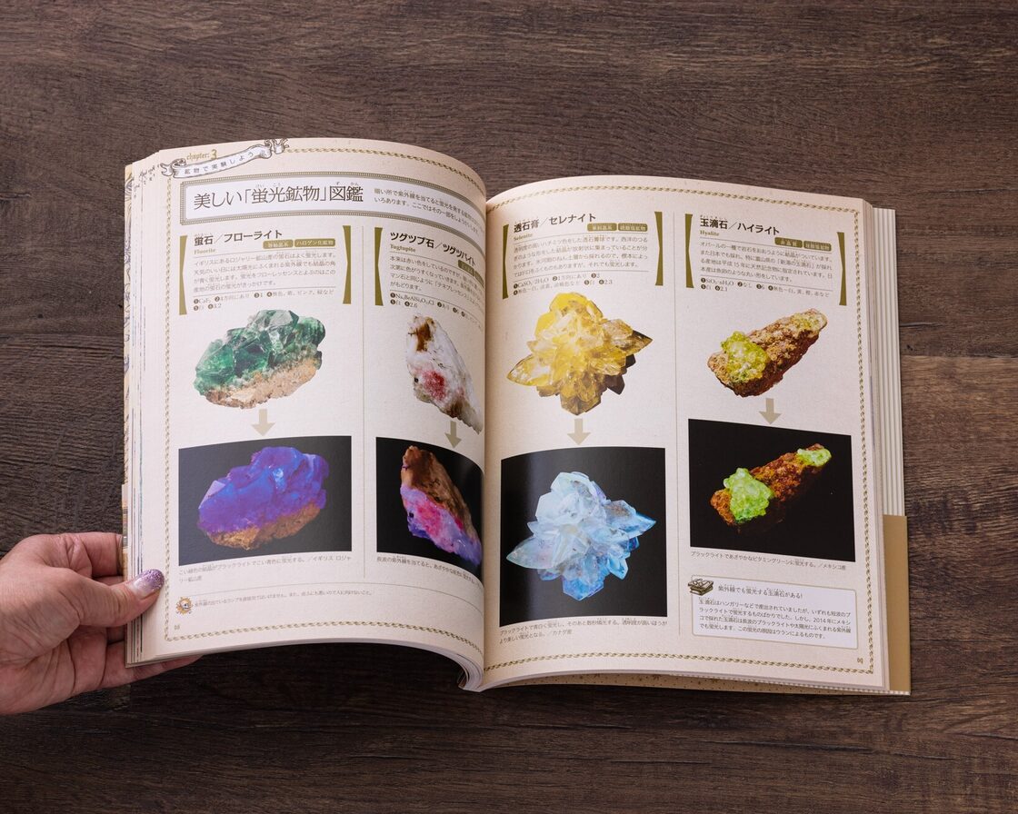 教職員・講師紹介 - 日本カジノスクール