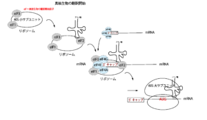 コラム：米大統領の核攻撃命令、議会は止められるかロイタ