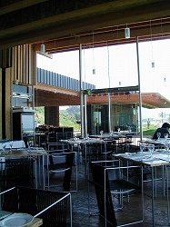 MAPLEyuigahamastudio