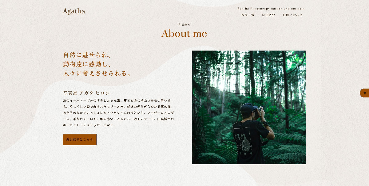 入門 はじめて作るポートフォリオの「自己紹介」 書き方とデザイン・レイアウトの参考例をご紹介- めがねんちblog