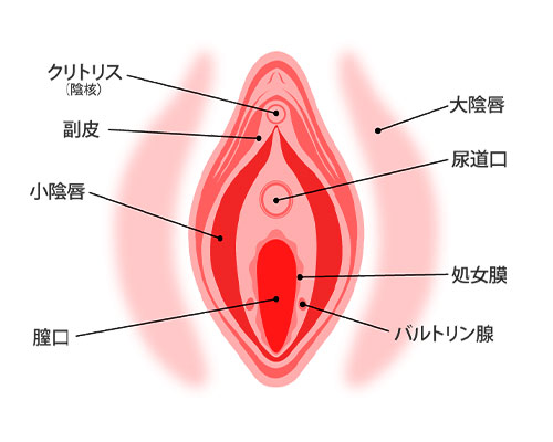 手マンの音は快感と関連性がある？音でセックスの興奮度アップ！ | happy-travel[ハッピートラベル]