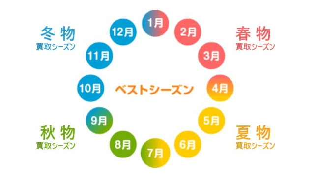 セカンドストリート 2024年の買取アップはいつ？そして2024年は？ セカストミソジカラ ~ 30代メンズが知りたいコト