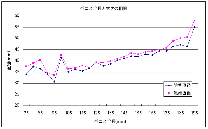 ペニスの大きさ平均は13cm！女性の理想サイズはさらにデカい！？｜薬の通販オンライン