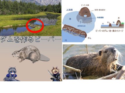 ダムコレクション > 特別展 > Vol.4 Dam History