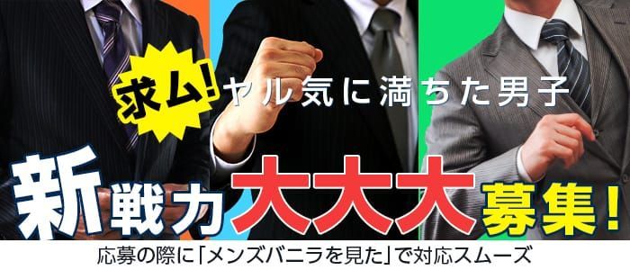 2024年新着】【大阪府】デリヘルドライバー・風俗送迎ドライバーの男性高収入求人情報 - 野郎WORK（ヤローワーク）