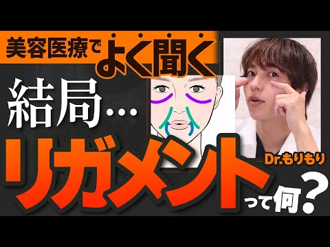 朝】cara（カーラ） - 心斎橋の昼キャバ・朝キャバ求人バイトなら【体入ショコラ】