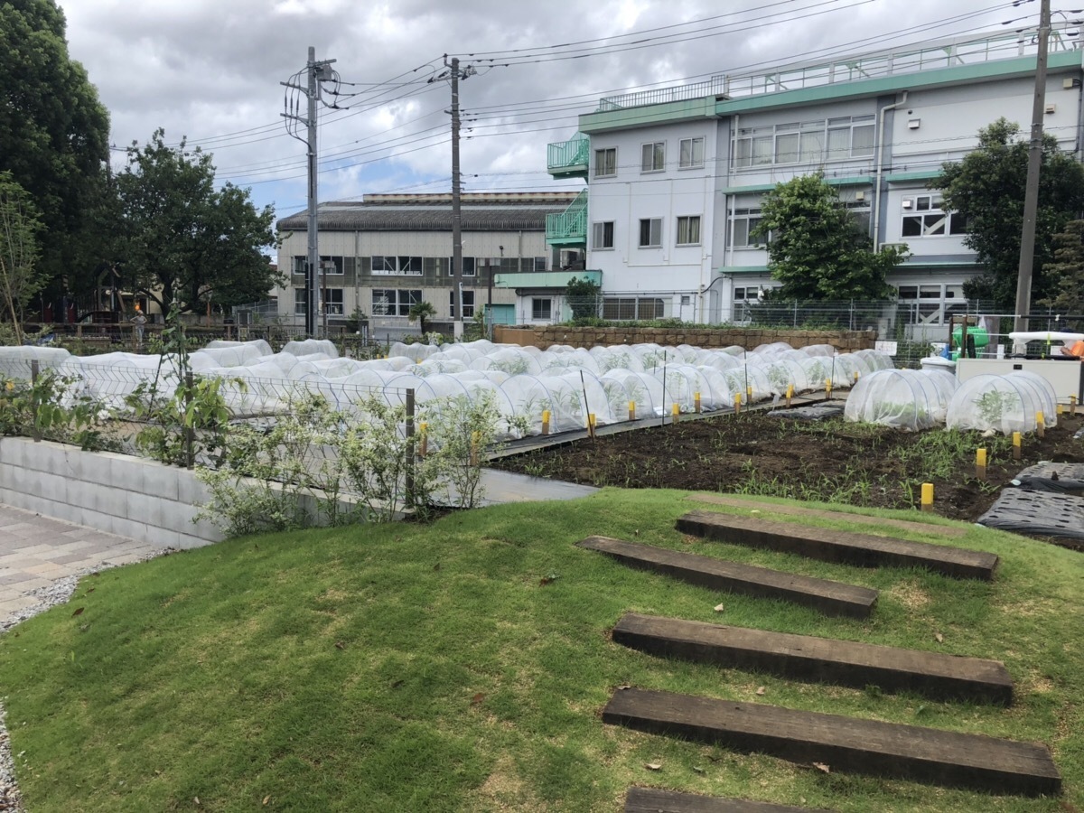 駿河屋 -【アダルト】<中古>三鷹レイナ /膝上・衣装赤・体右向き・右足上げ・両手ボンボン/DVD「ナンパで捕まえた某野球チアリーディングチーム所属の9頭身ダンス美少女!Fカップ美乳ちゃんAV出演!!」特典生写真（女性生写真）