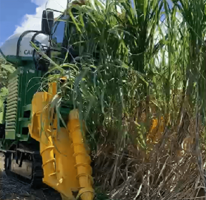 ブラジルの歴史 - Wikipedia