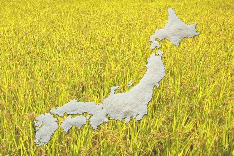 なぜ？ お米の販売額が少ないのに所得率が高い稲作農家の謎を探る！農業利益創造研究所
