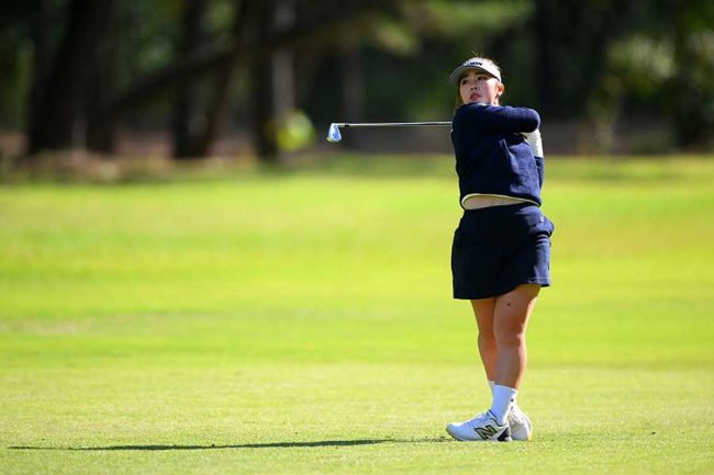 阿部未悠プロってどんな選手？プロフィールや経歴は？家族や学校は？はらぺこアライグマのひとり旅