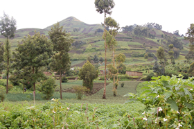 反政府勢力がコンゴのキルンバを占拠 – 福岡エクスプレス Fukuoka-ken