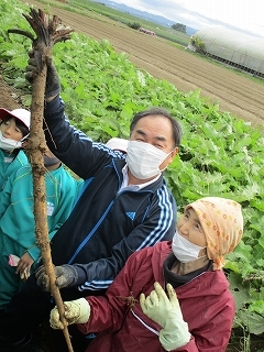 立川ドライクリーナース クリーニング 宅配クリーニング