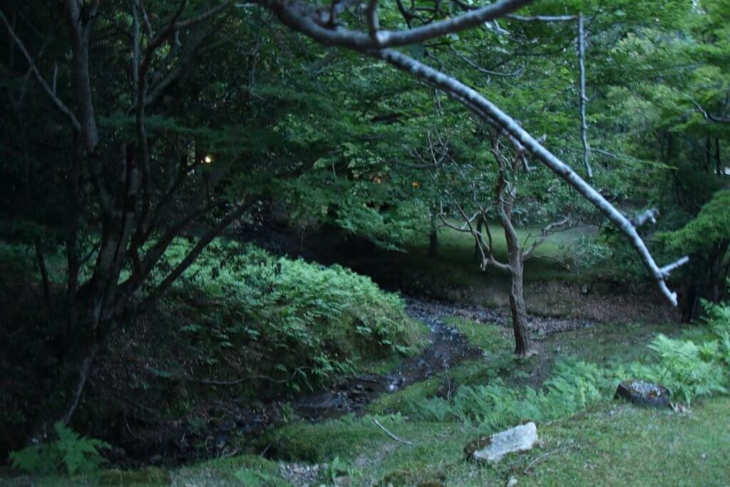 奈良のホタルに会いに行こう！「人気と穴場」おすすめスポット８選！情宝庫