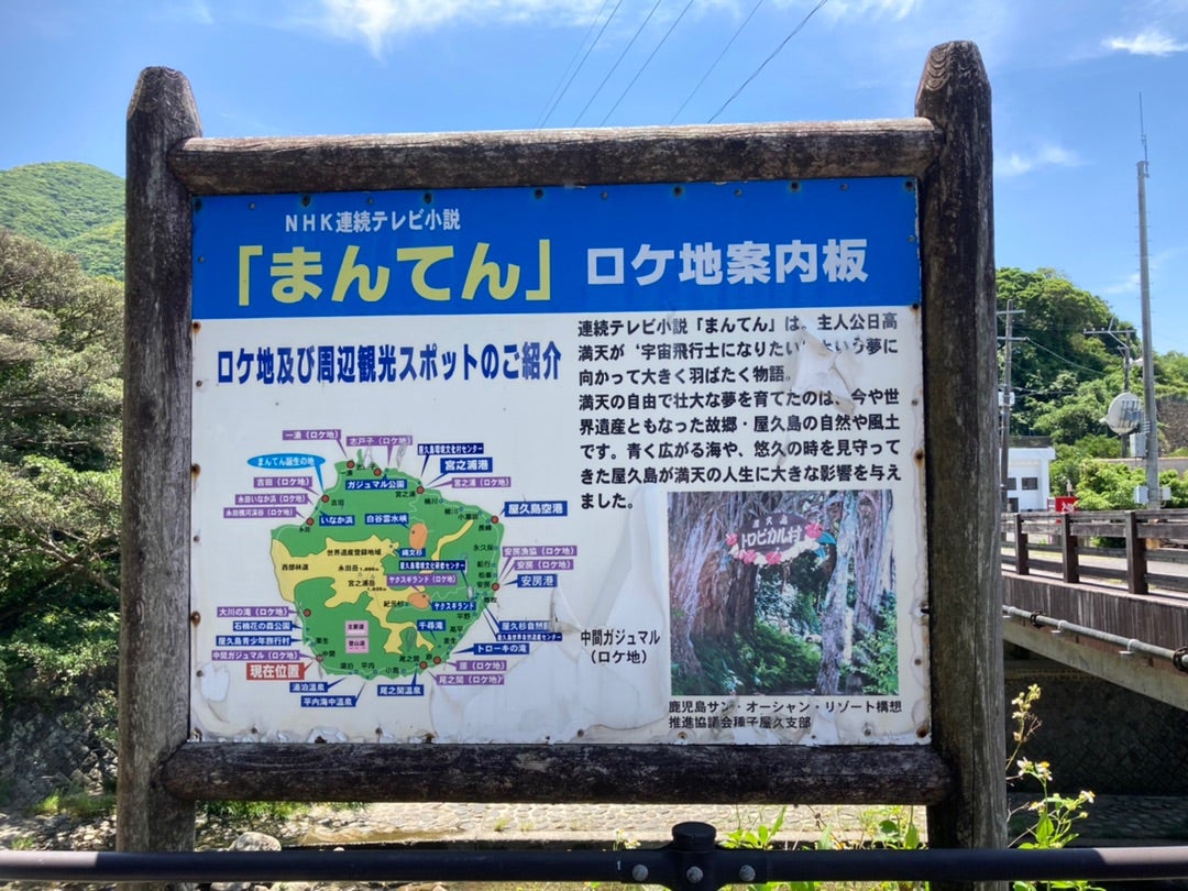 中間ガジュマル アソビュー！