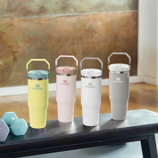 Z世代に劇的ヒット「スタンレーの大型水筒」 背景に超速SNSの妙：日経クロストレンド
