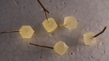 第43回 京都・癒しの美グルメ －心がととのう優しい時間－