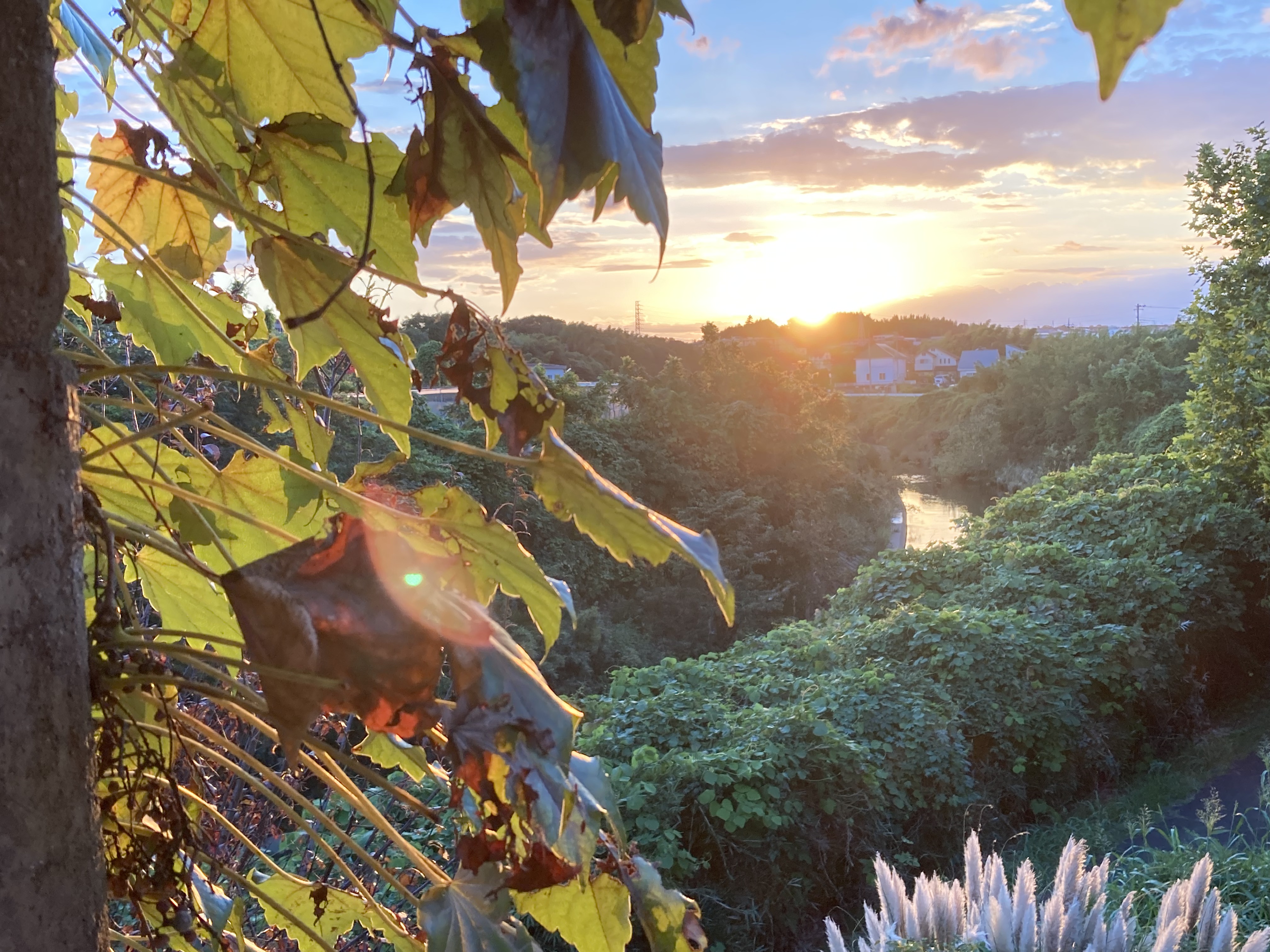 2025年最新 ワンダーデコールの人気アイテム - メルカリ