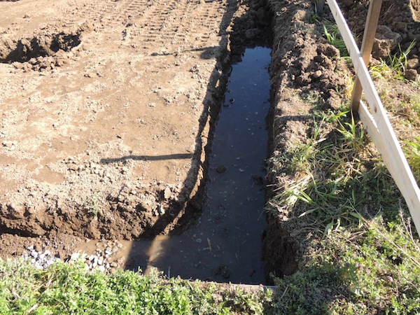 さかのぼって基礎掘削工事:仮称 アルビオ・ガーデン北２４条新築工事