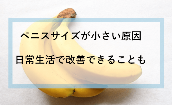 日本男子50万人のペニス平均値から真面目に考察！加藤鷹は「Y68dick」――決定！ちんこの新しい単位 - サイゾーpremium