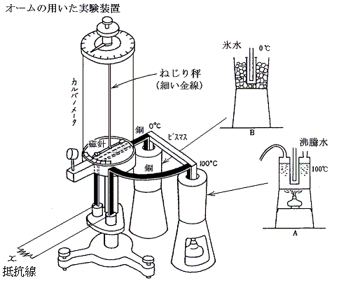 3月16日はなんの日？「国立公園指定記念日」や出来事と誕生花もTRANS.Biz