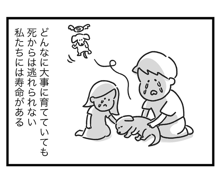 そうだったのか…人間が必ず“死ぬ”理由を解説する漫画が「タメになる」「分かりやすい」 | オトナンサー