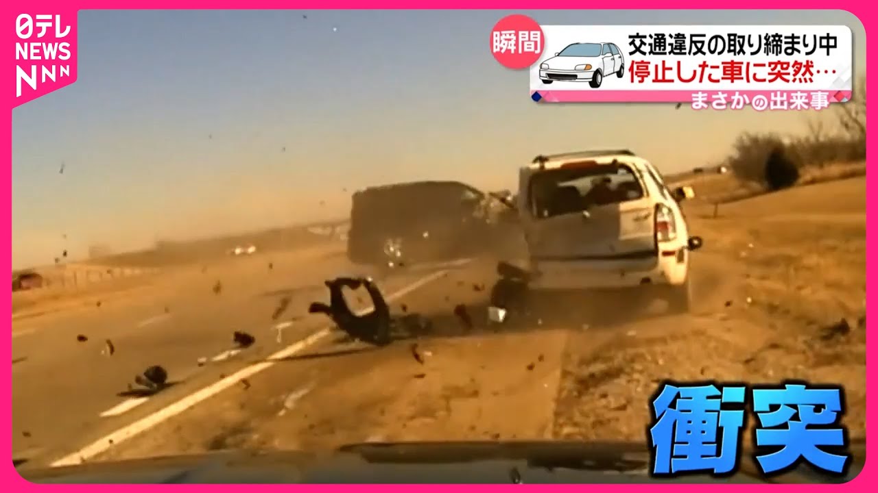 可愛すぎた疑い！？代々木公園のイベントで警察官に「逮捕」されるポメラニアン おたくま経済新聞 ｄメニューニュース NTTドコモ