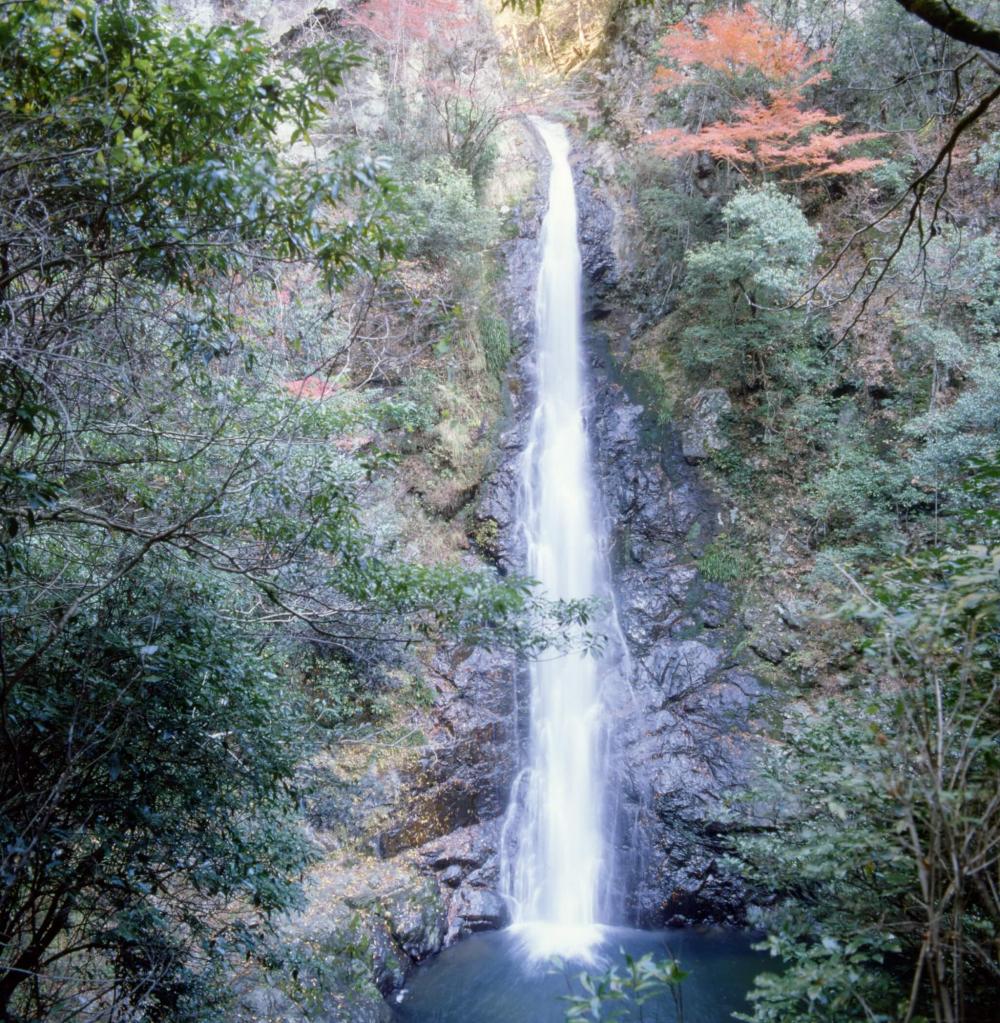 福山で日曜も営業している飲食店